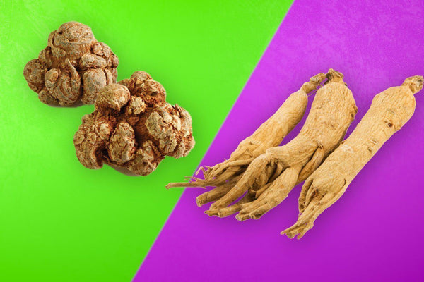 San Qi (Tian Qi) notoginseng american ginseng